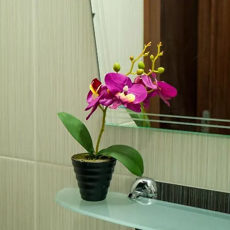 Sea View * 普里莫尔斯科