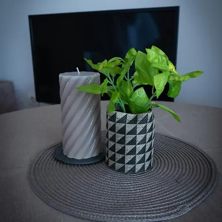 Apartment Albatros Primorsko